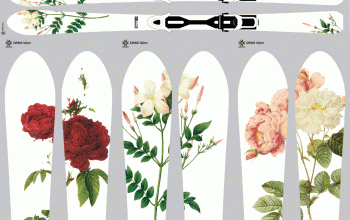 Skidesign Blumen